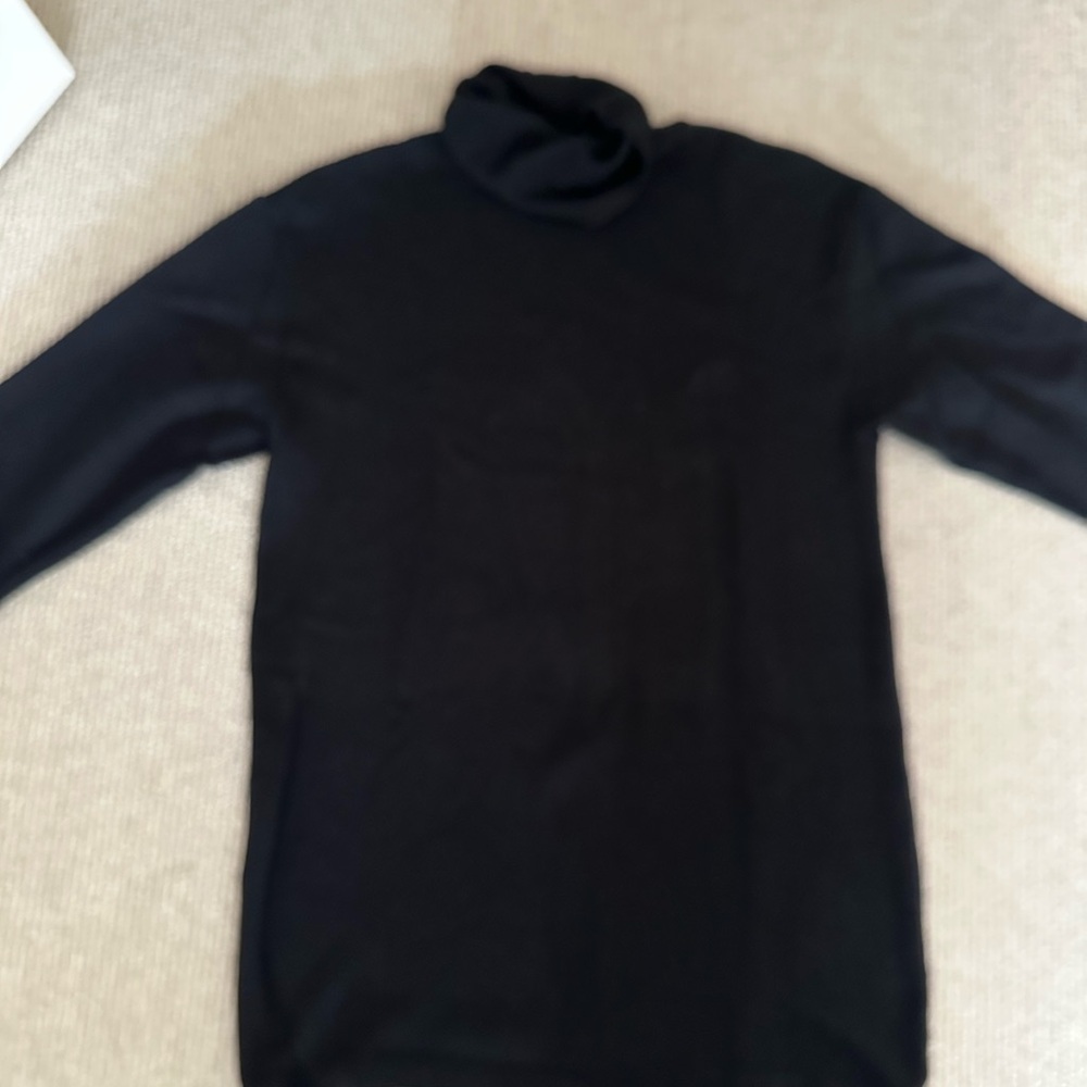 Zara Turtleneck knit mini dress